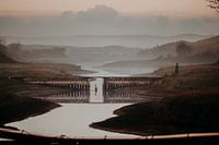 Héron dans les dunes d'Amsterdam Water Supply avec le brouillard du matin