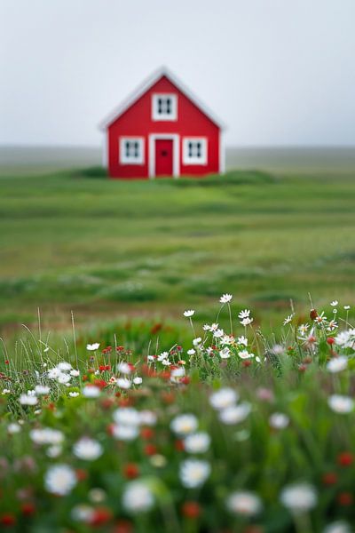 Rote Hütte im blühenden Feld von Poster Art Shop