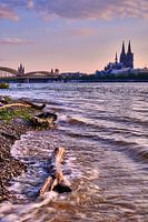 City View Cologne Cathedral on the Rhine