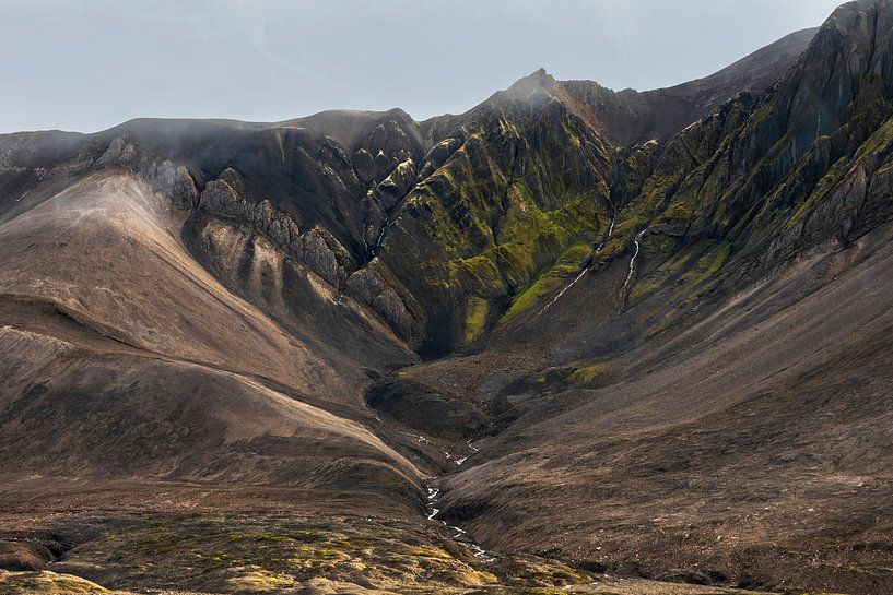 Bemooster Berghang auf Svalbard von Anouschka Hendriks
