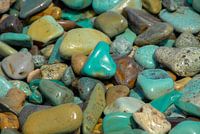 strand, Flores, Indonesie