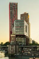 La pomme rouge, Rotterdam