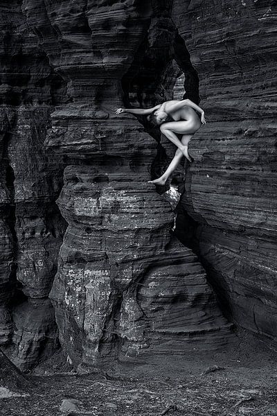 Harmony von Bodo Gebhardt