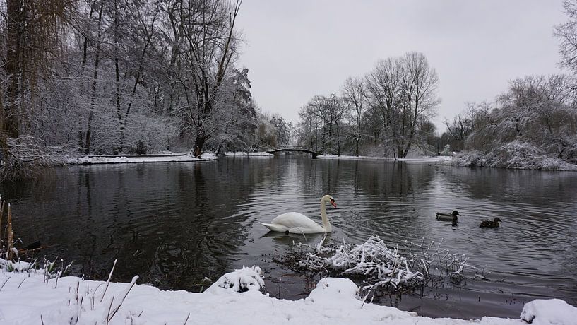 Schneezeit, ja es ist Winter. von fotograaf chaimaa