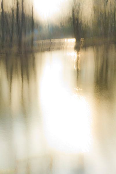 Bomen in het water_03 von Herman de Langen