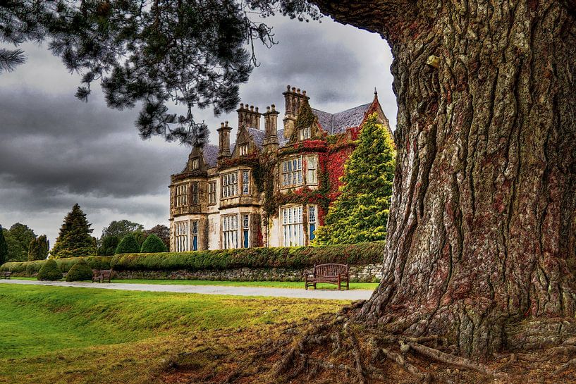 schilderij bewerking van Muckross House (landhuis in Ierland) by Bas Wolfs