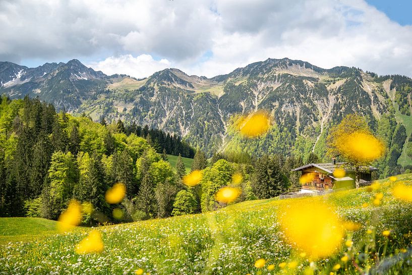 Magnifique Gerstruben sur la vallée du Tretta au printemps avec de belles fleurs par Leo Schindzielorz
