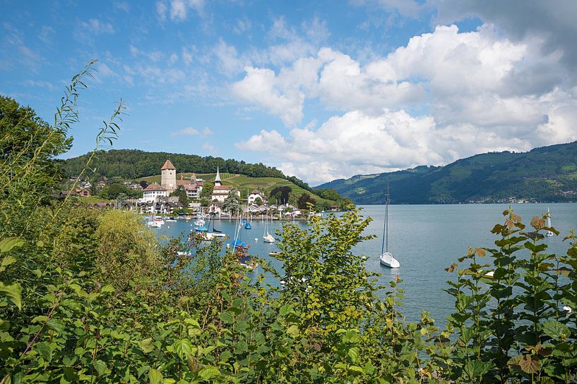 Sommer am Thunersee, Urlaubsort Spiez von SusaZoom