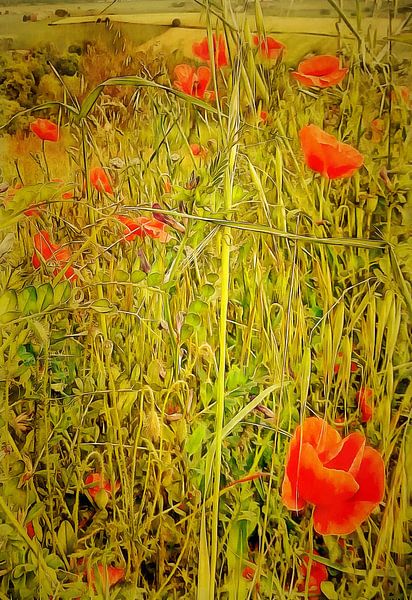 Mohnwandteppich von Dorothy Berry-Lound