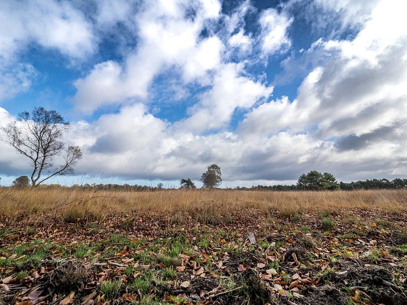 Lucht op de Veluwe von Dirk van der Plas