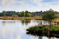 Overasseltse- en Hatertse Vennen