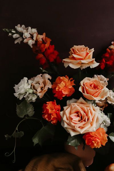 Dutch Masters Coral Roses par Collart & Willems