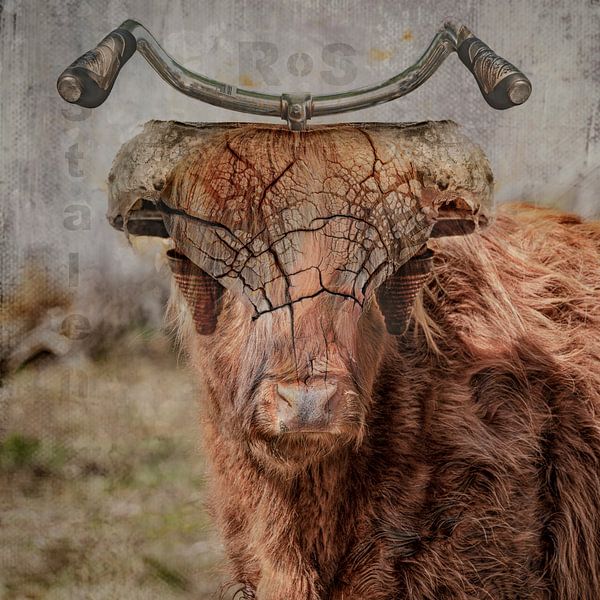 Das Stahlross. von Alie Ekkelenkamp