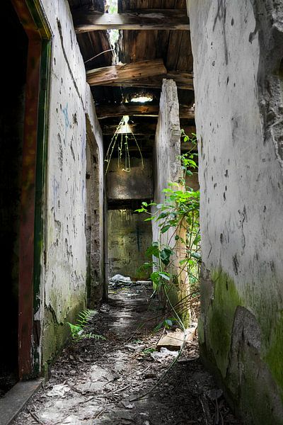 Smokkelaarscafe Ruïne par Ivanovic Arndts