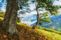 Aussicht von der Alpe di Neggia im Tessin