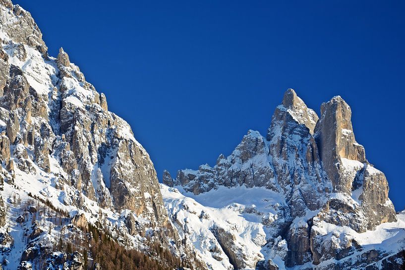 Madonna et Sass Maor par Bettina Schnittert