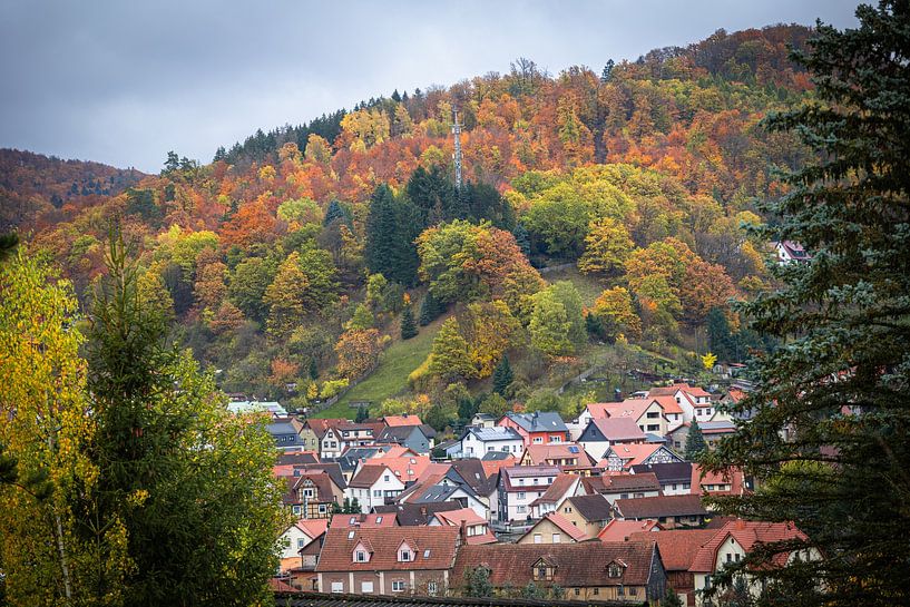 L'automne en Thuringe par Suzanne Schoepe