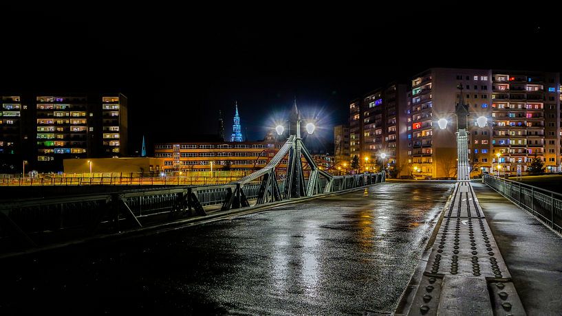 Skyline von Zwickau bei Nacht von Animaflora PicsStock