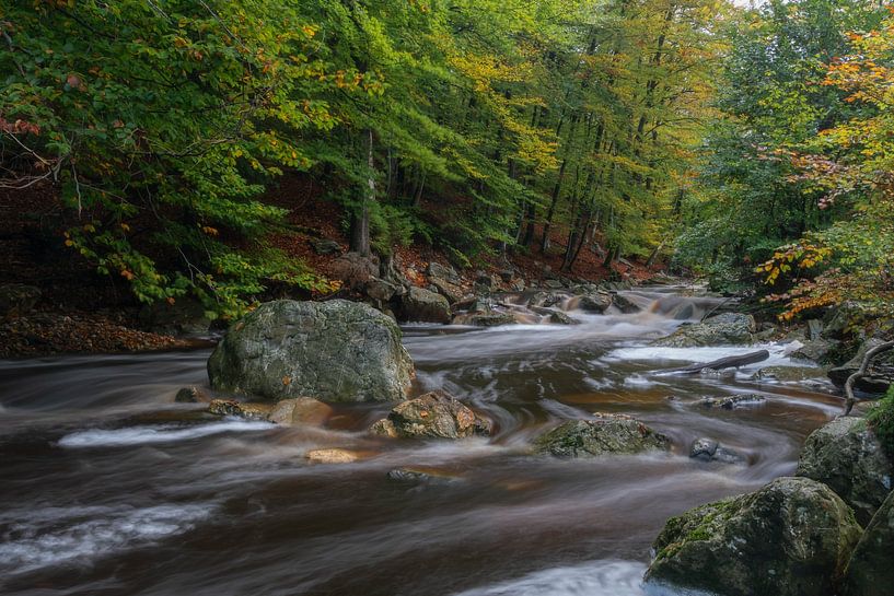 In der Mitte von Jan Koppelaar Fotografie