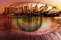 uitzicht op de boomstam