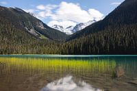 Provincial Park Lower Joffre Lake in British Columbia Canada
