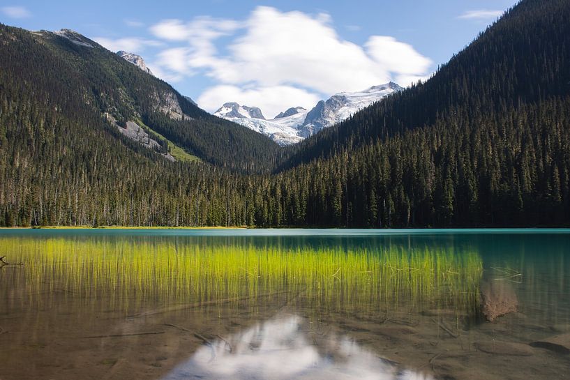 Provincial Park Lower Joffre Lake in British Columbia Canada by Christien Brandwijk