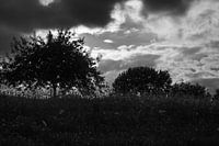 Wildernis - Wilderness