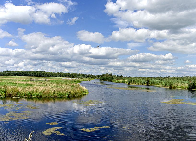 Polder mit Wolken von joyce kool