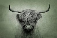 Majestätischer schottischer Highlander im kunstvollen Porträtstil