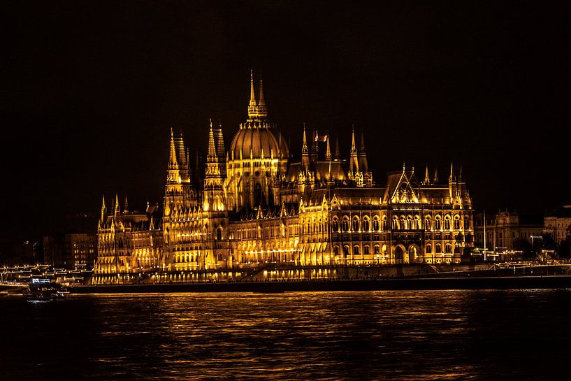 parliament building of hungary republic in double focus by Eric van Nieuwland