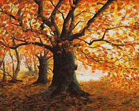 Baum in voller Herbstpracht