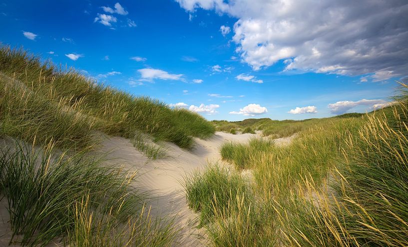 Dune by Bo Valentino