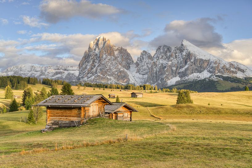 L'Alpe de Siusi sous une lumière dorée par Michael Valjak