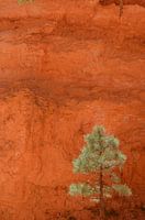 Parc national de Bryce, Utah, États-Unis