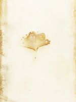 Ecoprint Feuille de ginkgo