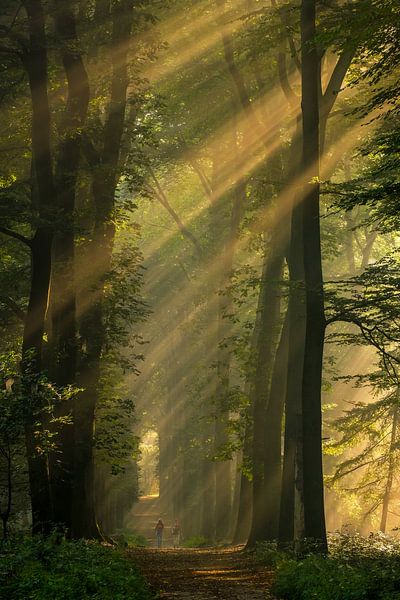 Vous entrez dans une zone sans stress par Moetwil en van Dijk - Fotografie
