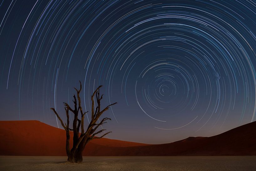 Sternspuren in Namibia von Karen Deakin