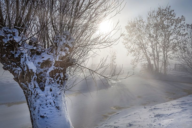 Winter in der Alblasserwaard von Ko Hoogesteger