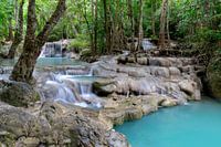 ~la beauté naturelle~