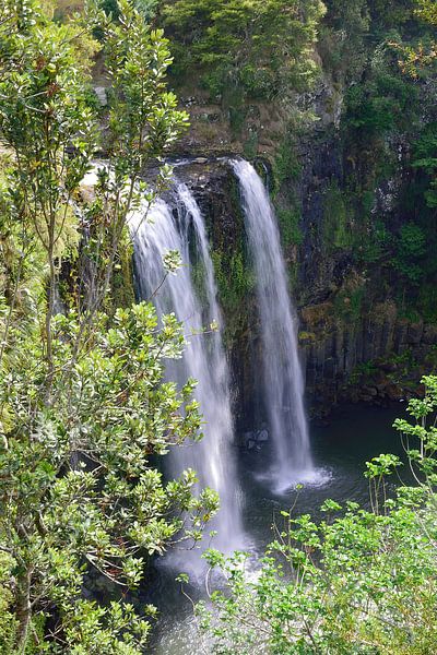 Whangārei Falls eingefroren in der Zeit von Frank's Awesome Travels