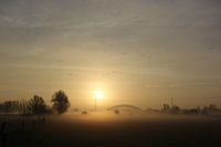 Mistige Uiterwaarden Oosterbeek