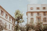 Straßenfotografie von Palma de Mallorca an einem Sommertag