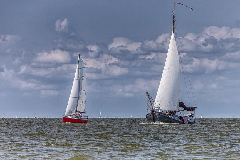 Sailboats on the IJsselmeer off the coast of Marken. by ingrid schot