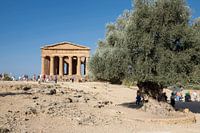 Concordia-Tempel, Tal der Tempel, Agrigent.