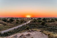 Dunes d'Amsterdam avec coucher de soleil (0157)