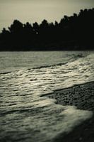 Whispers of the coast