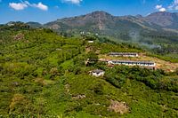 Tata Tea Estate Periakanal