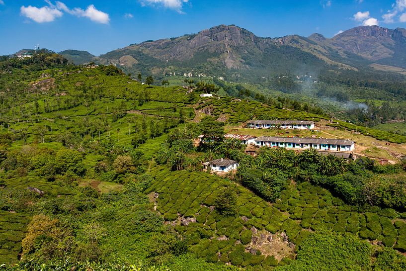 Tata Tea Estate Peria Canal by resuimages