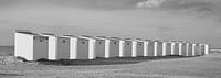 Beach cabins on the Belgian coast, black and white