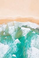 Beach & Ocean (poster)